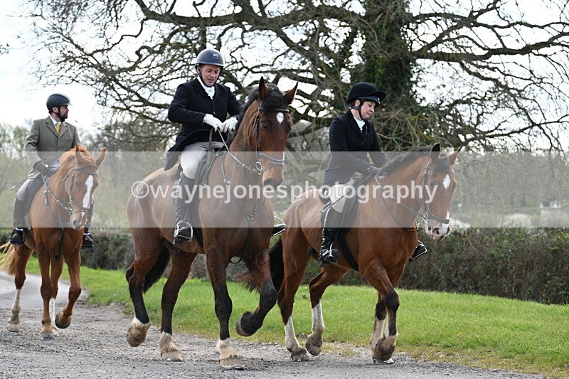 WJ7_9892 - Walk Home