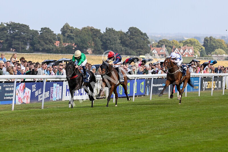 310824-Race 1-Quietness-0960 - Race 1