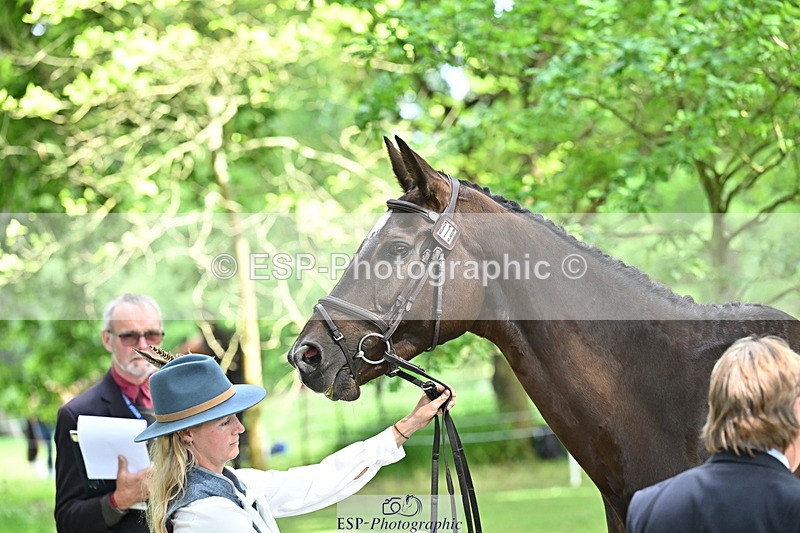 250521A-152138-00450 - B-379-Kelli.Frewin-HIDDEN.GOLD