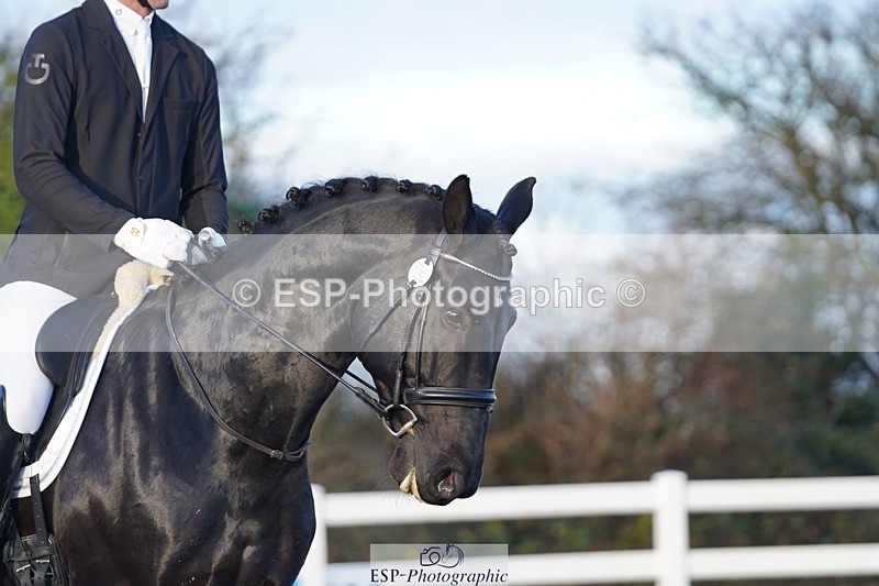 241214-102112-00155 - 115-Joe.Roome-Monarchs.Way.Tobiah