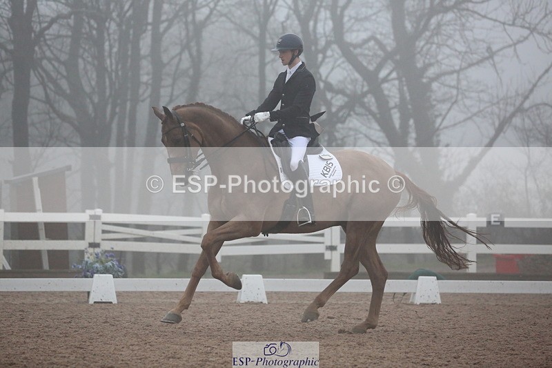 240217A-163452-04440 - 126-Lewis.Carrier-Rubico