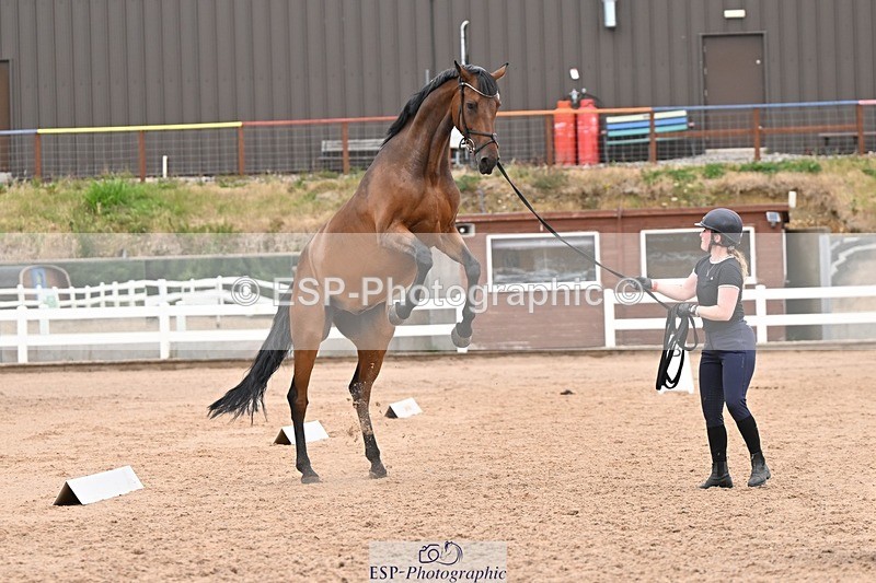 250716-160416-02389 - Trot Up 3.30 to 4.30