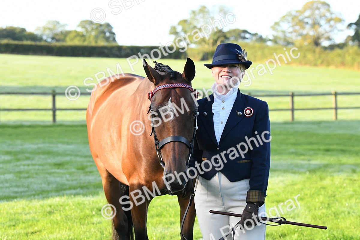 SBM_32654 - S15 - Condition & Turnout In Hand