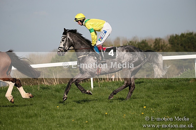 PtP 210418 597 - South & West Wilts Point-to-Point Larkhill 21/04/18