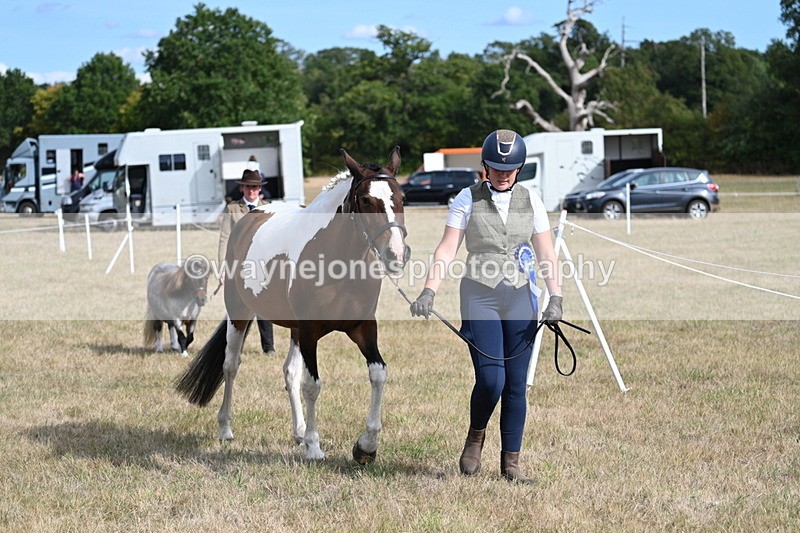 WJ7_8029 - In-hand Championship