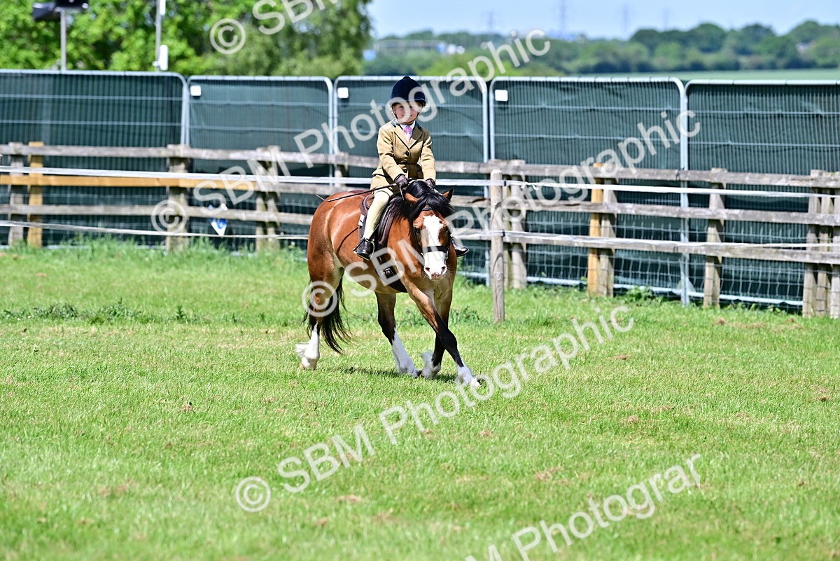 SBM_06112 - Class 59-60 - TSR M&M  Lear Rein and First Ridden Amateur of the year