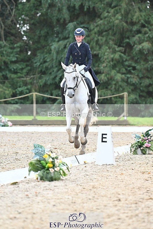 231019-123127-03123 - 114-LATINA'S.TWINKELING-Pippa.Haslam-DR