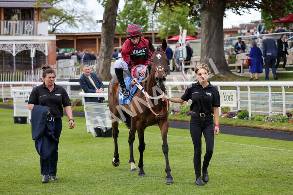 yr12052022r7-28 - Race 7 5.15pm Fidomoney Stakes