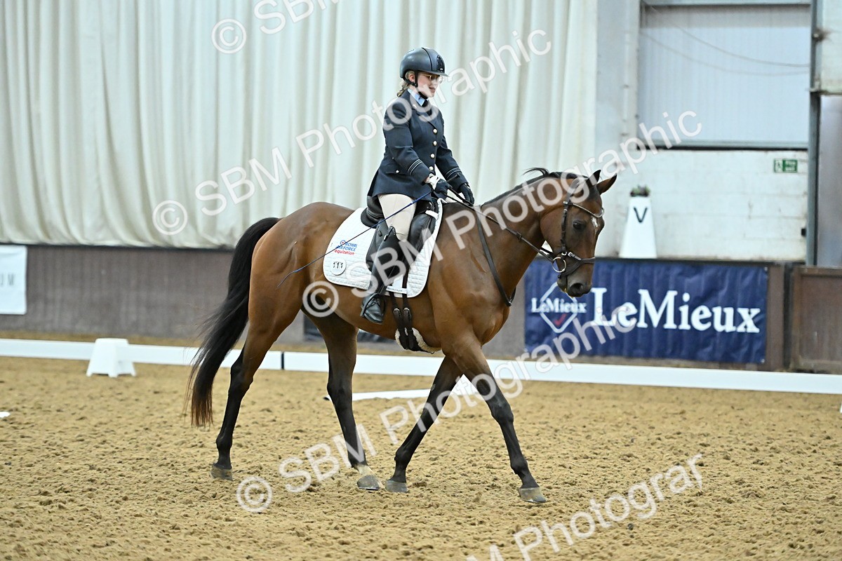 SBM_007521 - Class 81 - Novice 3