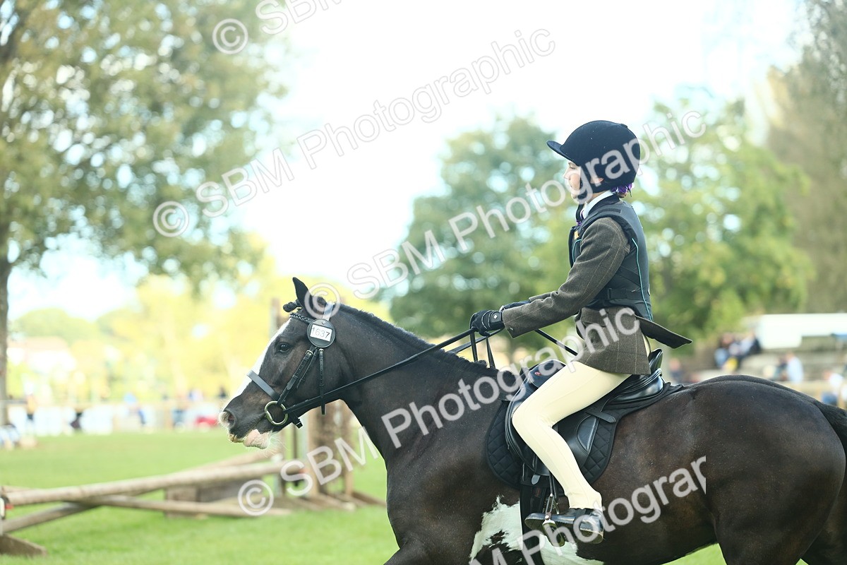 SBM_42029 - S29 - Novice & Newcomers Working Hunter Pony