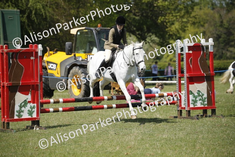 20250427-2345 - Class 13 - Novice Jumping 60cm