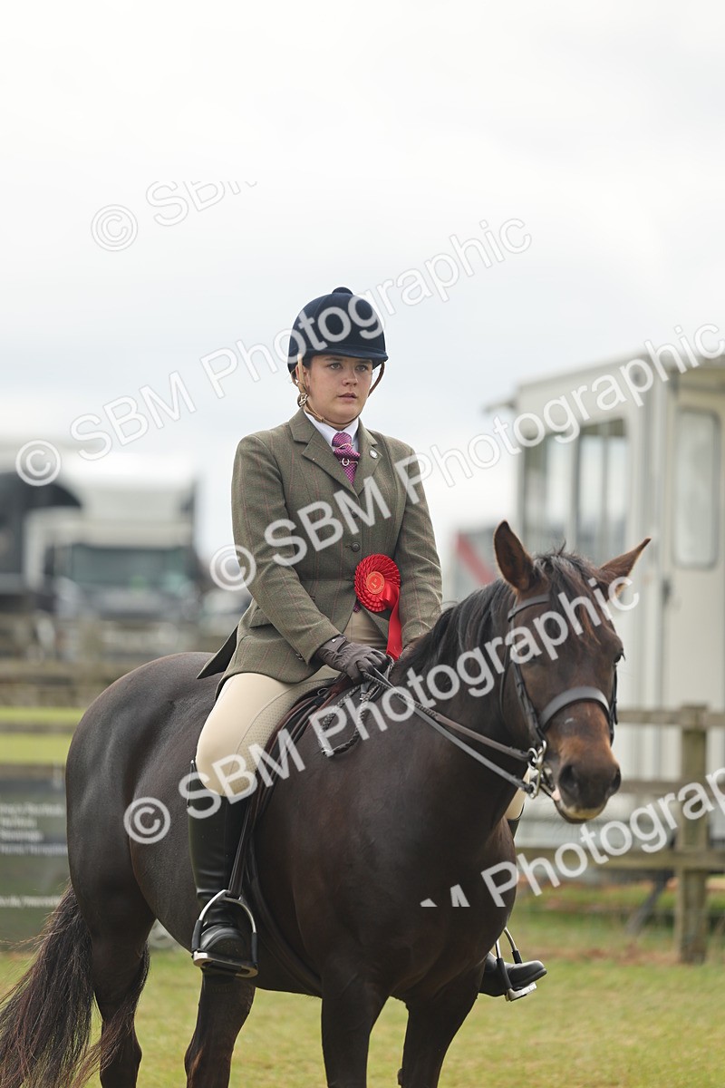 SBM_09145 - Class 78-80 - Ridden M&M Non Welsh Ponies