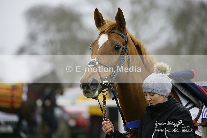 PtP 200222 03 - Countryside Alliance PtP Badbury Rings 20/02/22