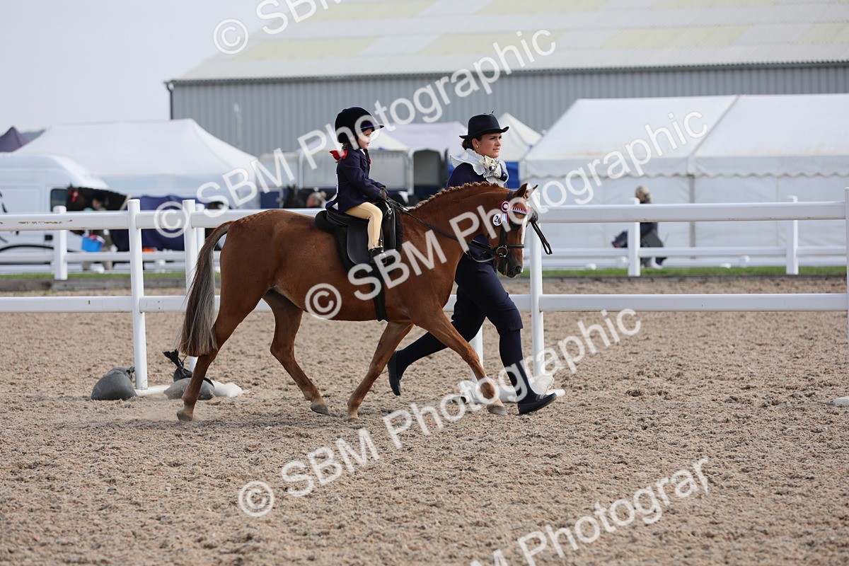 SBM_13973 - Class 309 Lead Rein Pony