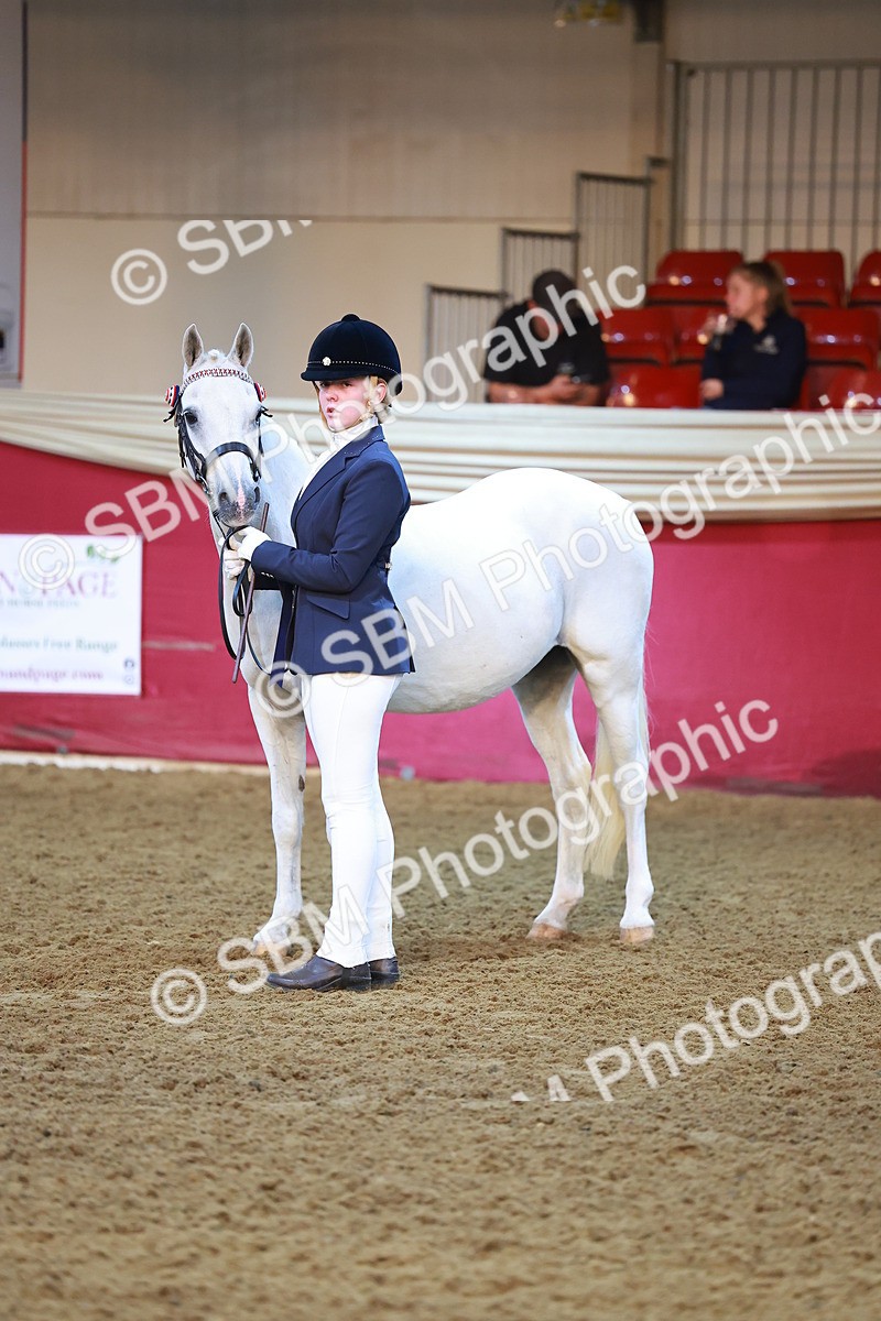 SBM_14723 - Class B - Junior Champ 11 to 16 Years