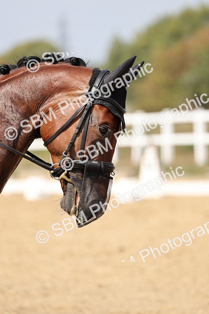 SBM_018781 - Class 16 - Novice 5 - 12.08-13.11