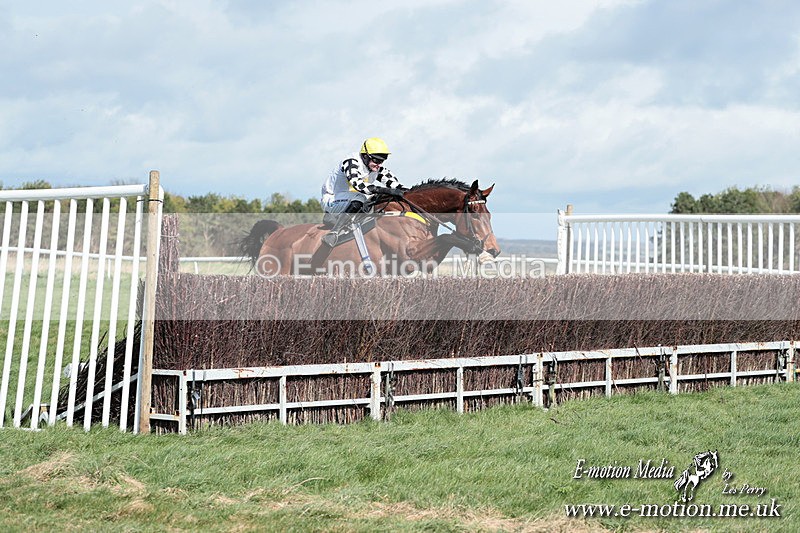PtP 230324 288 - Tedworth Hunt PtP Larkhill Raccourse 23rd March 2024