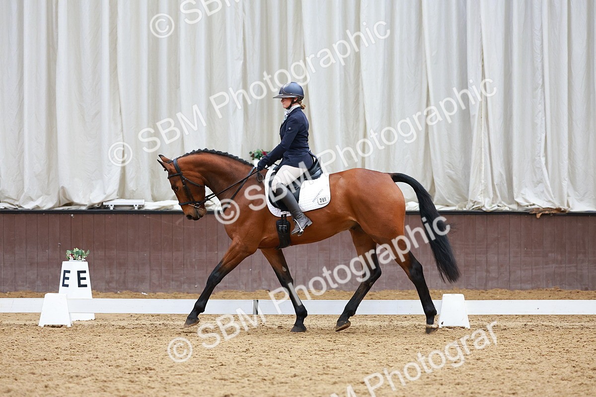 SBM_003264 - Class 11 - Novice 2