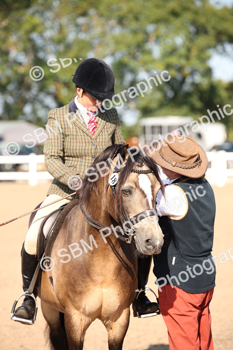 SBM_00767 - Class 14 Ridden M&M Wildcard