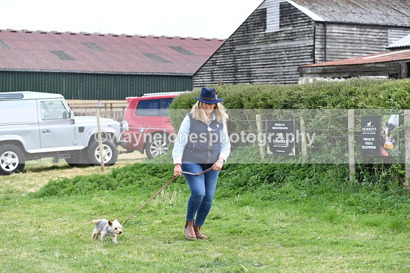 WJ5_0117 - Class 5 Best Veteran / 7 years & over