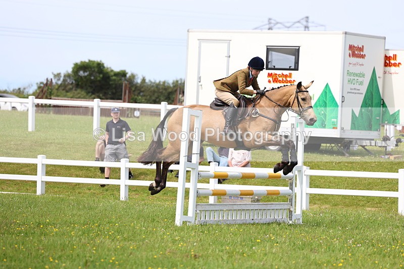 3E7A1442 - Class 13: Senior British Novice/90cm open