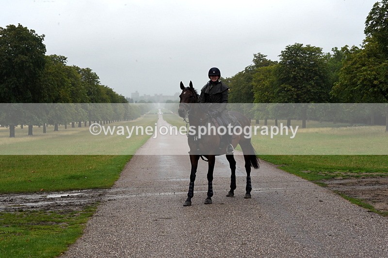 TT3_8344 - Time at Crossing 10:16 to 11:38