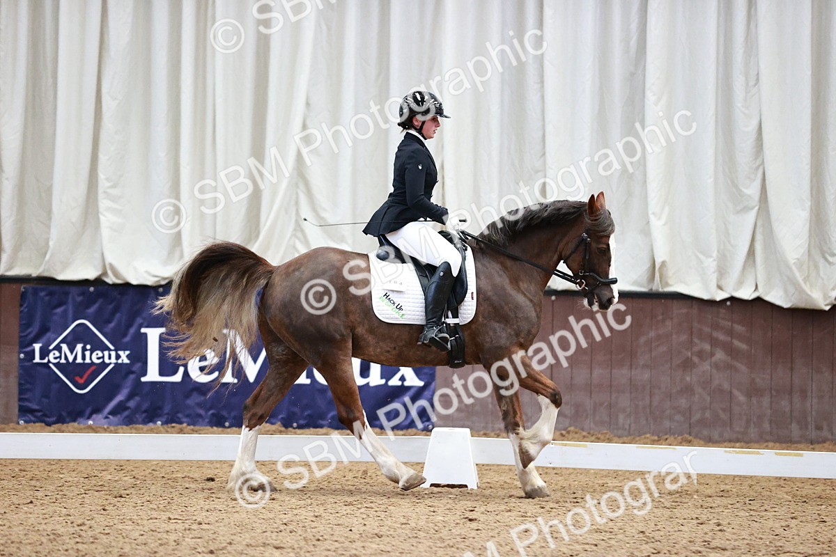 SBM_000148 - Class 3, 4, 8, 10 Intro 3 Prelim 3 Novice 2