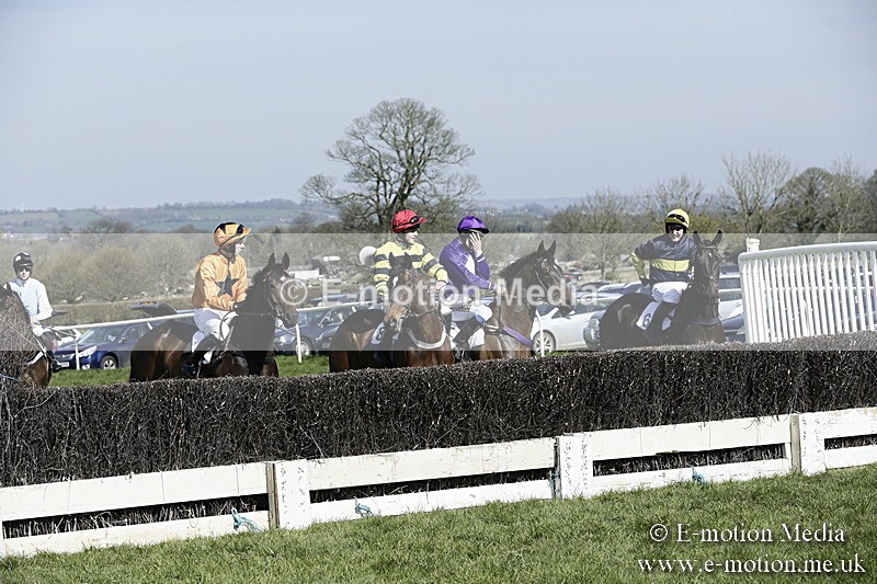 PtP 260317 25 - Mendip Farmers Point-to-Point Ston Easton 26/03/17
