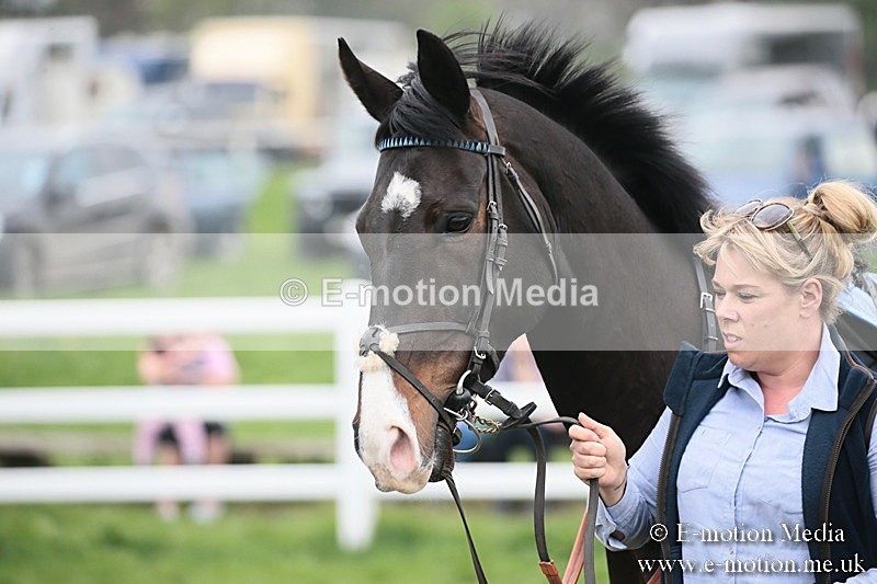 PtP 210418 133 - South & West Wilts Point-to-Point Larkhill 21/04/18