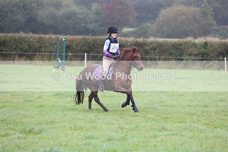 JPP_4956 - Class 1: 65cm : Showjumping