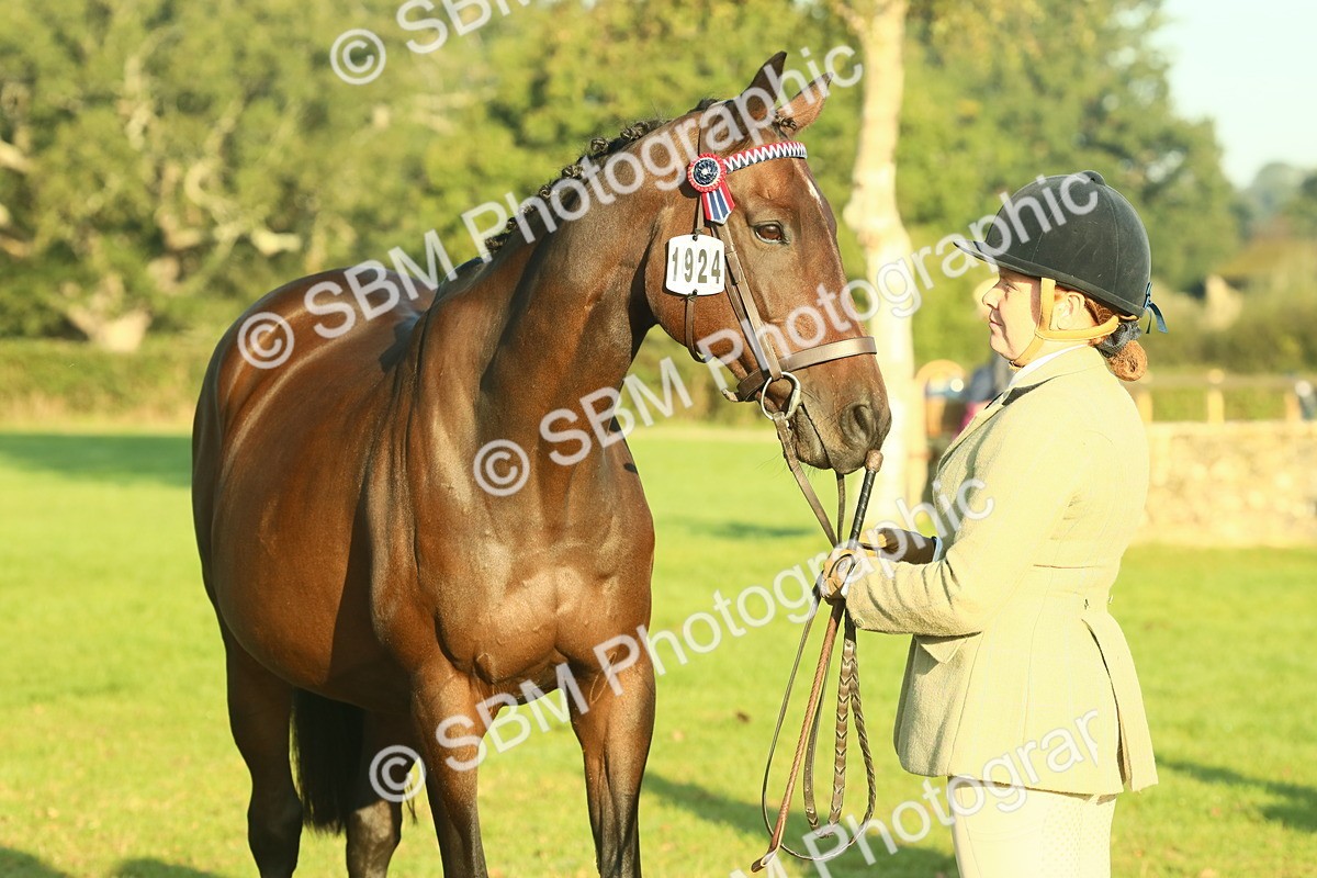 SBM_56719 - S36 - Starters Best Turnout