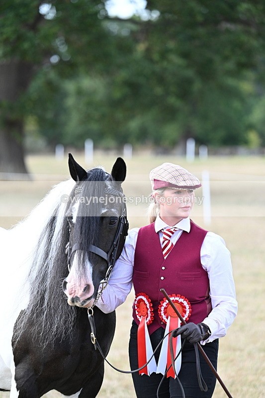 WJ7_8355 - In-hand Championship