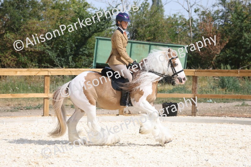 20260802-0433 - Class 6 - Veteran Ridden