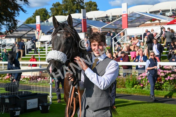 240824-Race 6-Tropical Storm-1713 - Race 6 4.45pm Julia Graves Roses Stakes