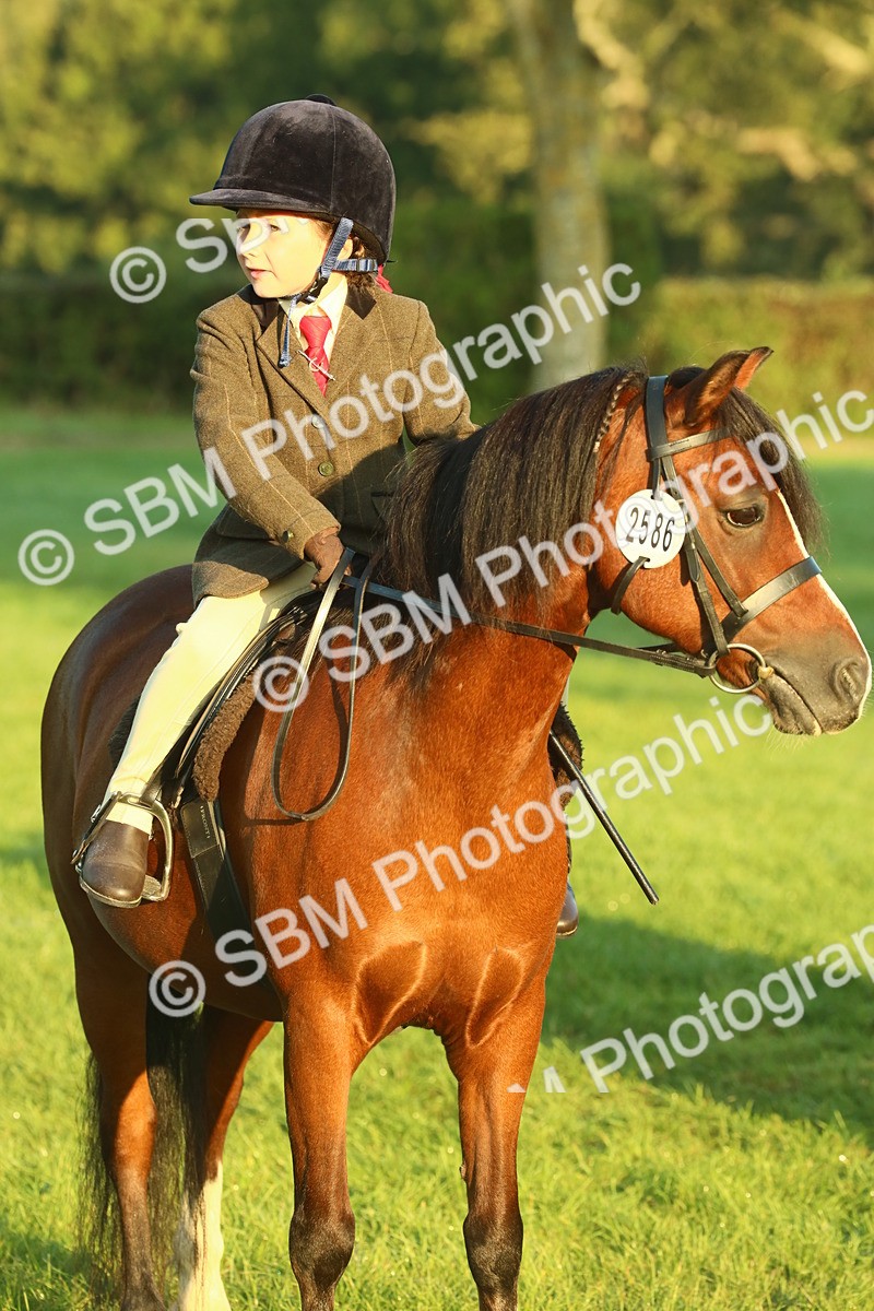 SBM_56507 - S36 - Starters Best Turnout