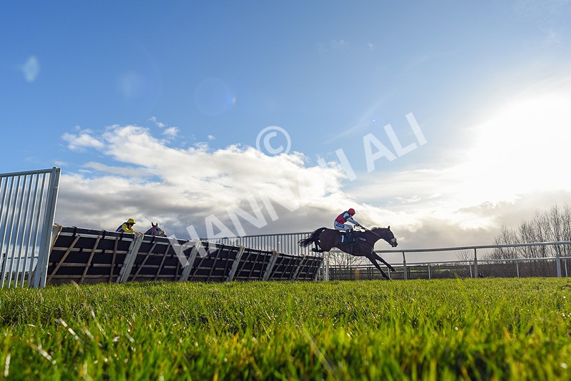 250225-Race 3-Ballyvango-3006 - Race 3