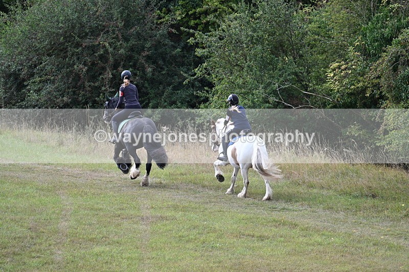 WJ7_4430 - Time 10:54 to 11:16