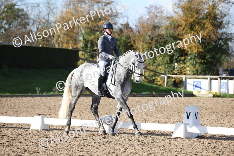 20251102-1162 - Class 6 - Elementary 6