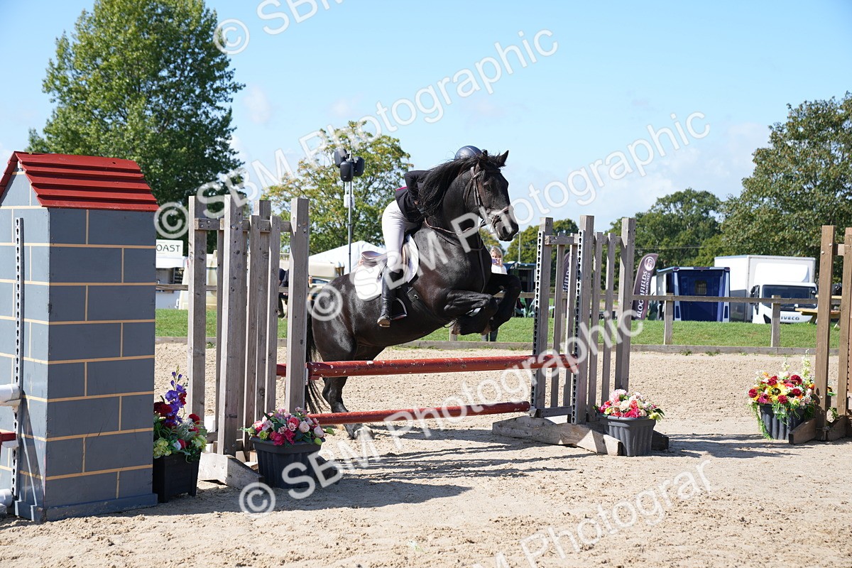 SBM_04975 - J56 - Clear Round 70cm