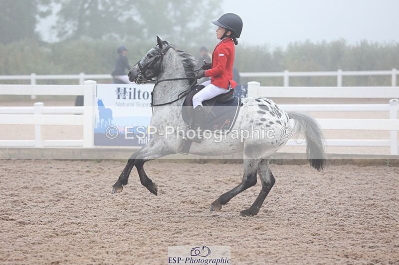 240630A-083138-11228 - Cls 30 British Novice and 80cm Open