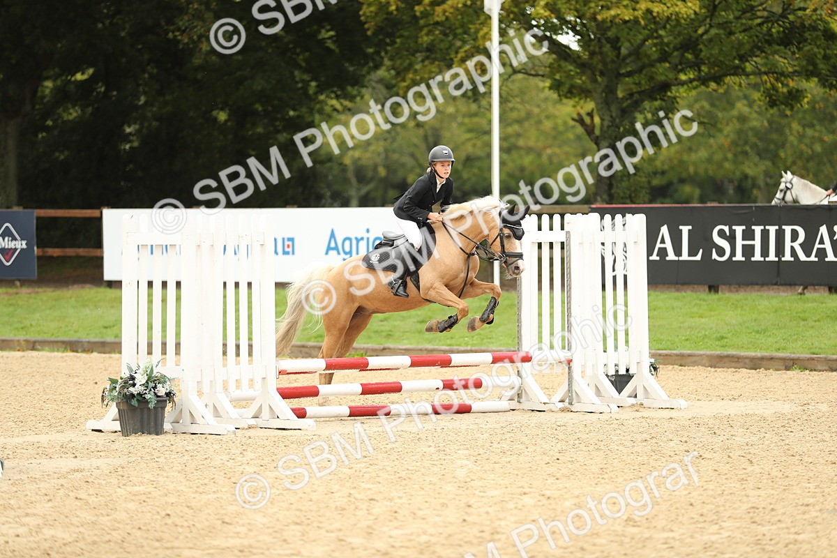 SBM_34242 - J60 Clear Round 50cm