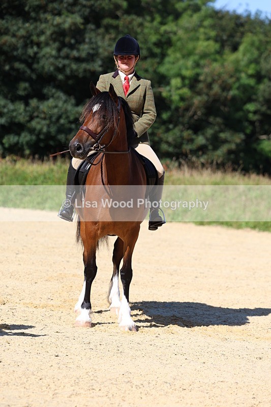 3E7A7916 - Class 14: Tack and Turnout