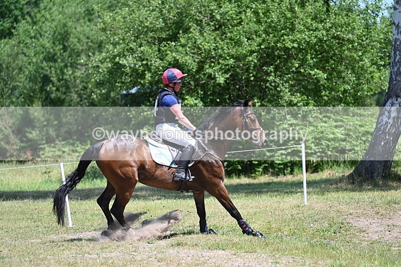 WJ7_3971 - Time 11:13 to 11:52