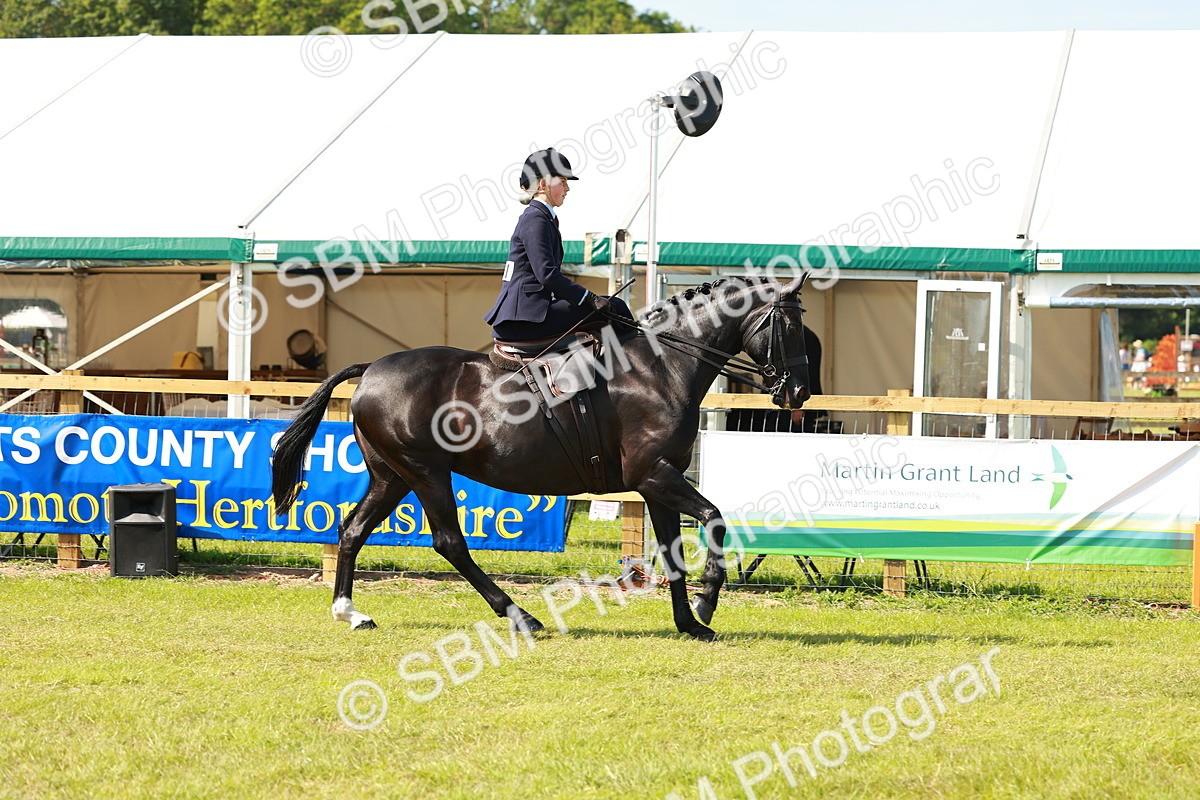 SBM_13146 - Class 70-71 - Side Saddle