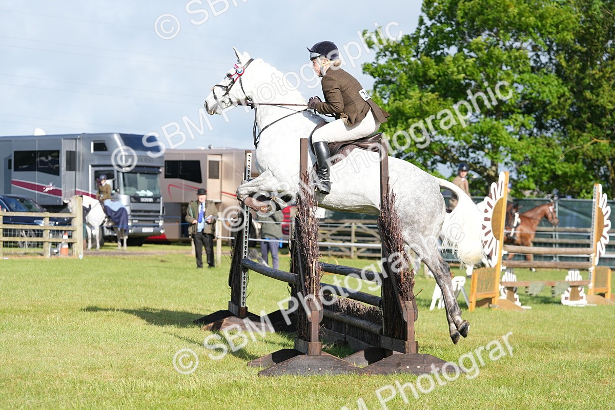 SBM_10498 - Class 97-98 - LIHS BSHA Rising Star Working Show Horse Hunter