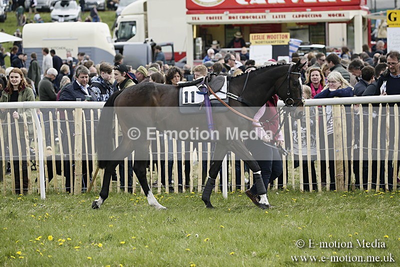 PtP 170417 208 - Old Berks Point-to-Point Lockinge 17/04/17