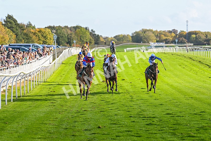 191024-Race 4-Three Dons-4286 - Race 4