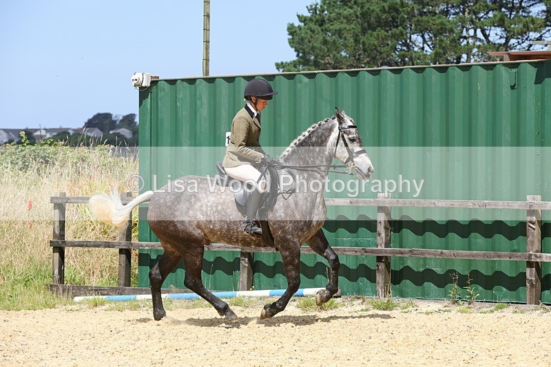 1X9A8781 - Class 19: Riding Club Horse