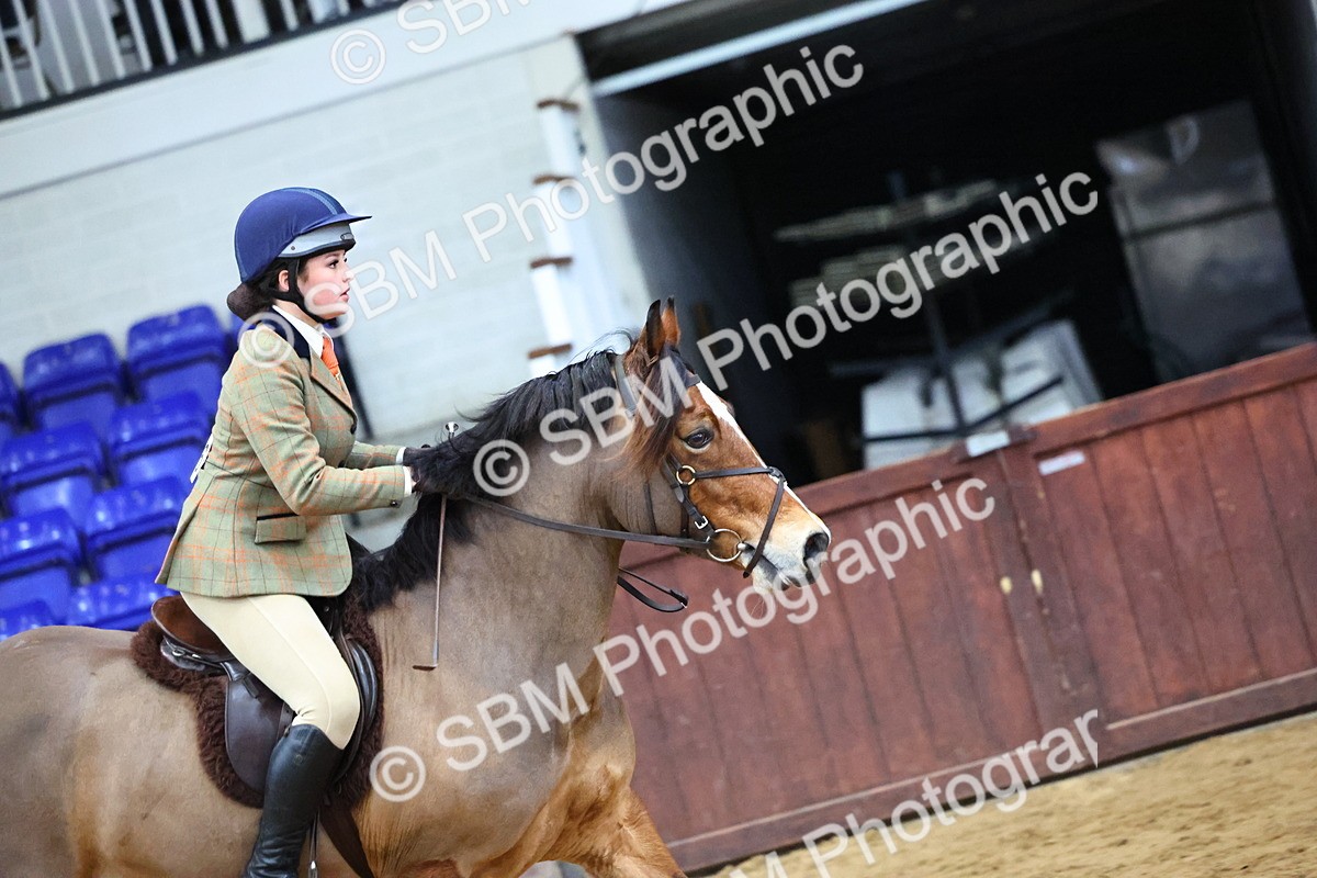 SBM_006580 - Class 43 - RIHS Qualifier Exceeding 43cms