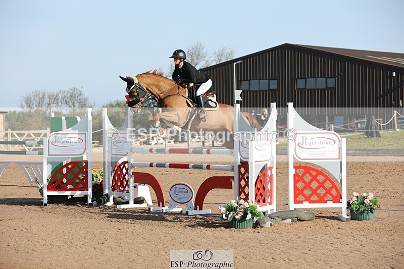 250427-083211-14509 - Cls 28 Young Horse 5yr old